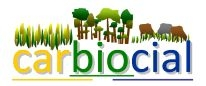 carbiocial logo